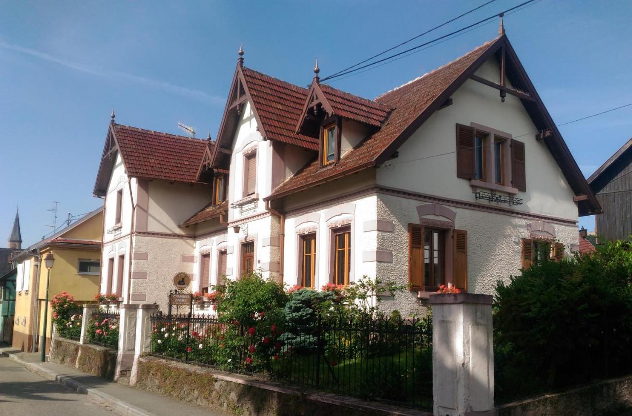 Gites Au Pied Du Haut-Koenigsbourg Kintzheim Bagian luar foto