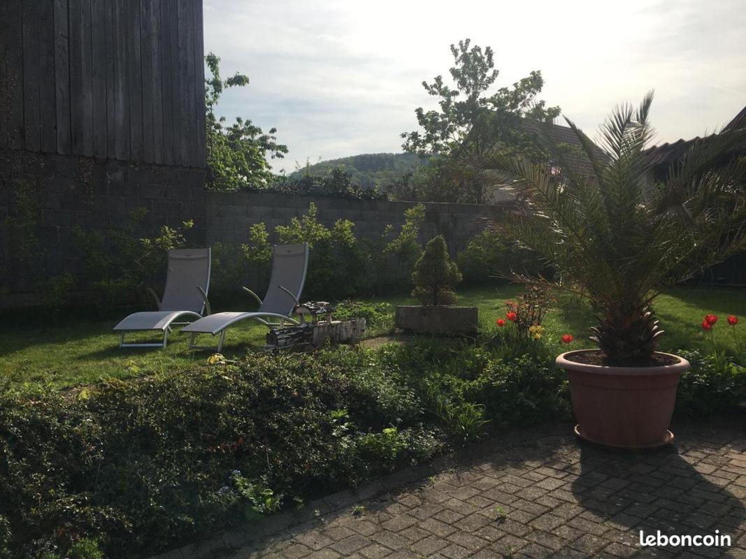 Gites Au Pied Du Haut-Koenigsbourg Kintzheim Bagian luar foto